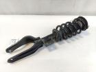 Tesla Model 3 Performance original Federbein Vorderachse links 1044368-04-B BJ19