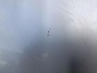 Toyota Yaris Verso original Motorhaube silber 1E7 BJ2004