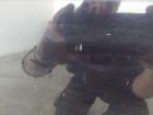 Audi A4 8E B6 original Tür vorn links Fahrertür LZ5L Mingblaumetallic BJ2001