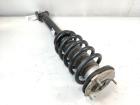 Tesla Model Y RWD original Federbein Vorderachse links 1188365-00-B Bj.2023