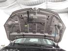 Renault Megane 3 Motorhaube Deckel vorn TEHNK Beige Cendre Nacre BJ2008
