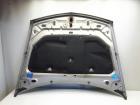 Renault Vel Satis Motorhaube TEA19 BEIGE ANGORA BJ2002