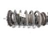 Tesla Model Y Performance original Federbein Vorderachse links 1188371-00-E Tesla Model Y Performance original Federbein Vorderachse links 1188371-00-E