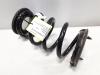 Tesla Model Y Performance original Schraubenfeder Hinterachse 1188475-00-D Bj.2023 Tesla Model Y Performance original Schraubenfeder Hinterachse 1188475-00-D Bj.2023