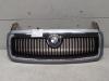 Skoda Fabia 1 6Y original Kühlergrill mit Rahmen LF7U Stonegreymetallic BJ2004 Skoda Fabia 1 6Y original Kühlergrill mit Rahmen LF7U Stonegreymetallic BJ2004